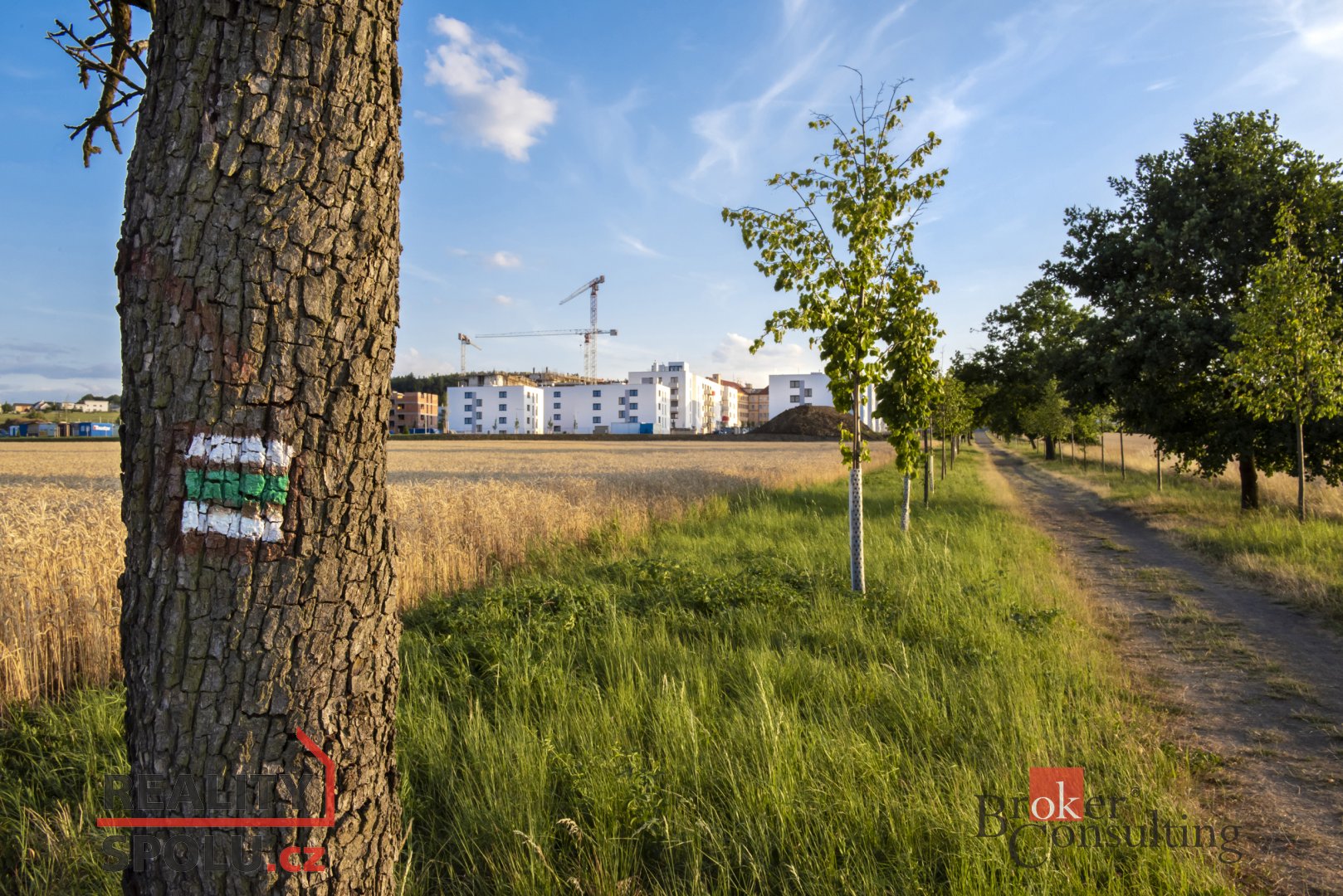 třetí fotografie nemovitosti