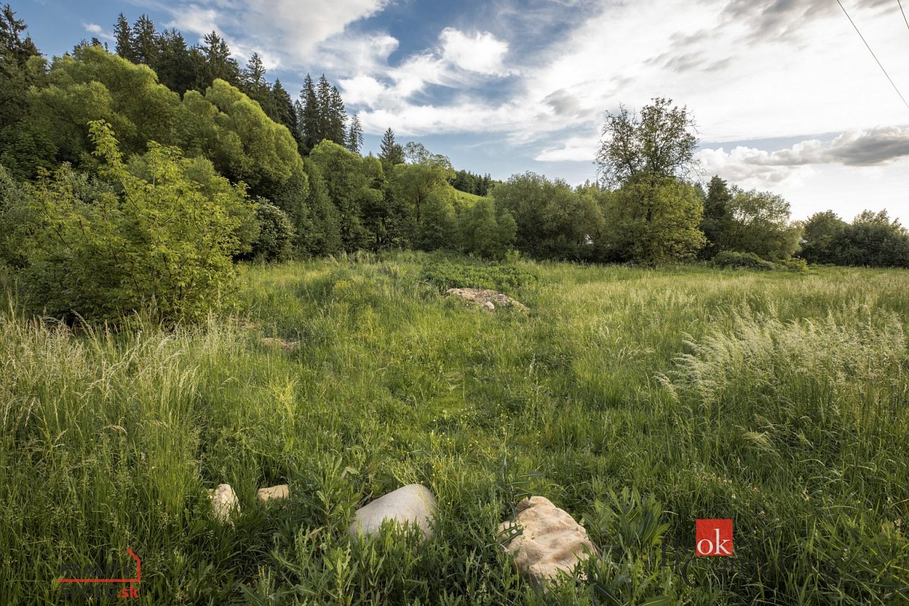 hlavní fotografie nemovitosti