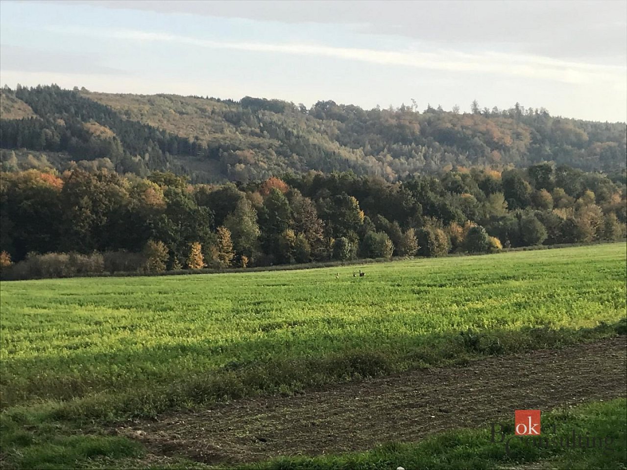 hlavní fotografie nemovitosti