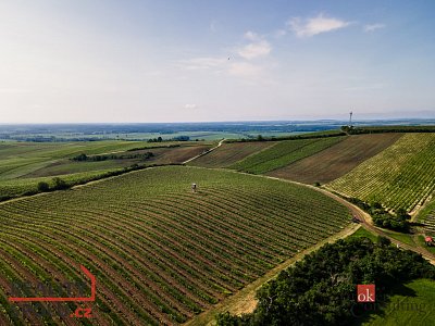 druhá fotografie nemovitosti