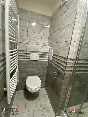 třetí fotografie nemovitosti