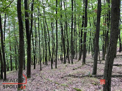 druhá fotografie nemovitosti