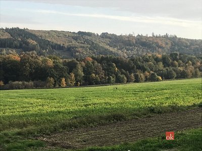 třetí fotografie nemovitosti